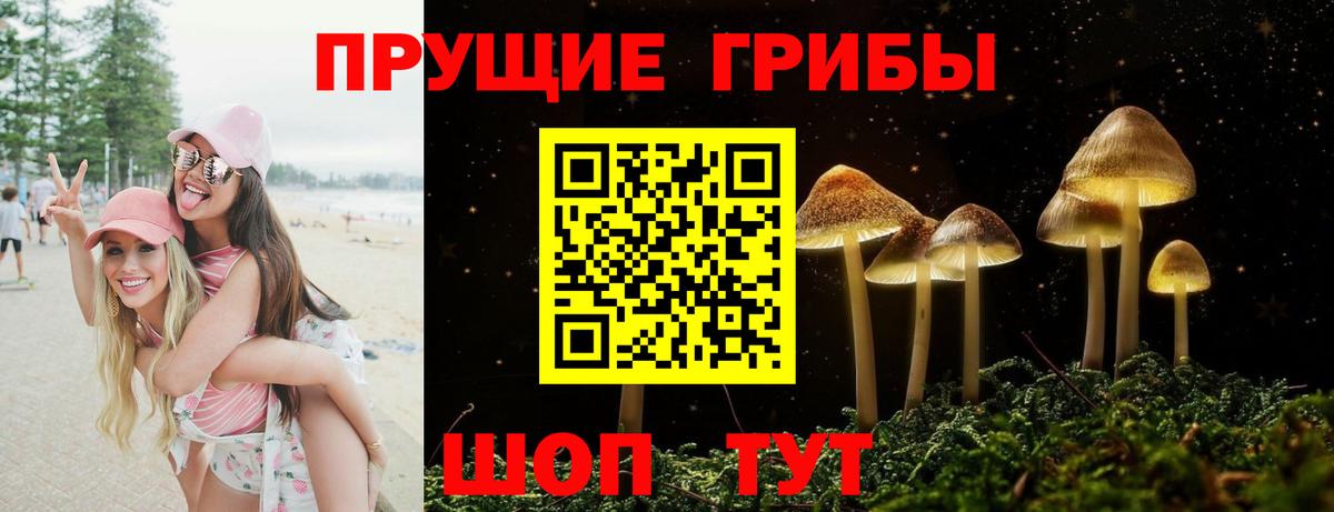 Топки  Галлюциногенные грибы прущие грибы  Вход с VPN 